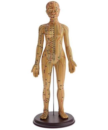 48Cm Model Anatomy Professional Medical Acupuncture Female with Meridian Points Soft Vinyl Material