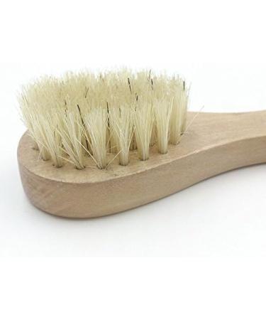 Hiibaby 2PCS Facial Cleaning Exfoliate Brush Facial Skin Care Tool Pore Cleaner Brush with High Grade wood Holder and Soft Bristle 100% Natural Bristles - Buy Online on SooperMarket.com