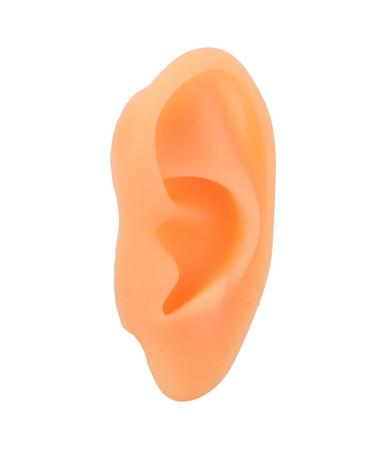 Ear Display Mould Ear Model Flexible Soft Educational Waterproof for Hospital(Right)