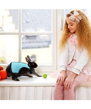 Soft Rabbit Dishes with Leash - Adjustable 2-Piece Mesh Set for Kittens & Pets | Durable & Comfortable - Buy Online on SooperMarket.com