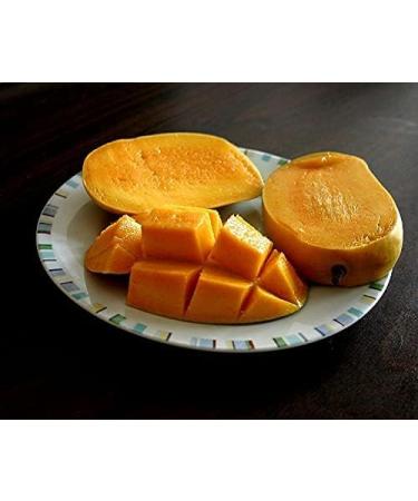 veenas Kesar Mango | 12 Units (App 4KG) |Juicy Mangoes |Fresh Mango Fruit | Natural Fruit | Summar Fruit | Indian Origin - Buy Online on SooperMarket.com