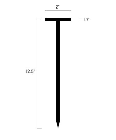 EMI Deluxe Queen Square Neurological Reflex Hammer (Black) - Pointed Tip for Superficial Responses - Buy Online on SooperMarket.com