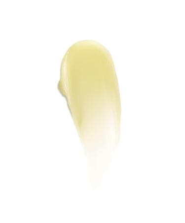 Byroe Mojito Lip Mask - Nourishing Vegan Lip Treatment with Natural AHAs Hyaluronic Acid & Jojoba Oil | Exfoliates Hydrates & Plumps Lips | 0.17 FL OZ - Buy Online on SooperMarket.com