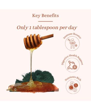 Spirulina Honey by Les Abeilles de Malescot - 4.4 oz | Natural Immune Support & Nutrient Rich - Buy Online on SooperMarket.com