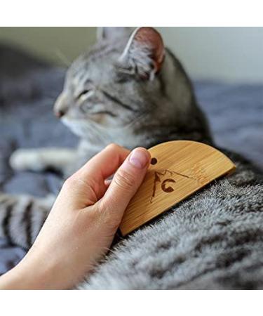 Pfotenolymp Flea Comb for Cats | Lice & Nit Comb | Effective Anti-Flea Solution | Ideal After Flea Shampoo - Buy Online on SooperMarket.com