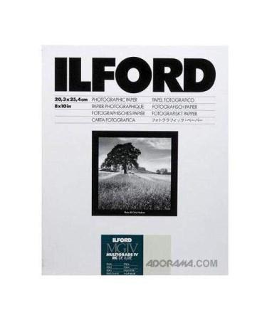 Ilford 1178283 8x10 RC Pearl 25+5 (30) Sheet