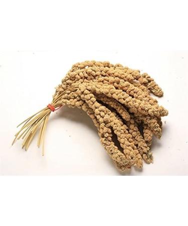 1KG PREMIUM MILLET SPRAY HANGING CAGE BIRD TREAT BUDGIE CANARIES COCKATIELS WEIGH OUT BAG
