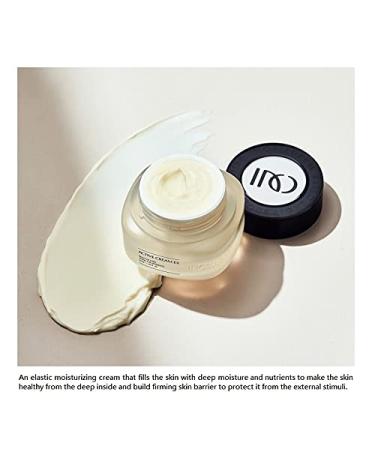 Incellderm Active Cream (50ml) | Plant Stem Cell | Intense Moisturizing | K-beauty | Made in Korea - Buy Online on SooperMarket.com