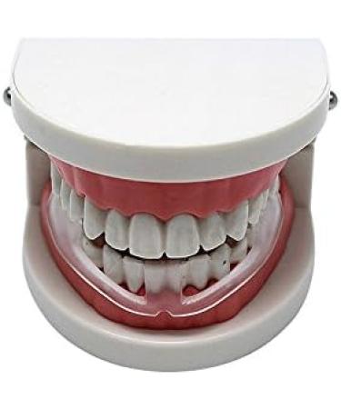 FEDBNET Sport Mouth Guards Clear Mouthguards Transparent Boxing Silicone Braces Dental Mouthguard Teeth Bruxism Grinding Eliminating Tightening Product - Buy Online on SooperMarket.com