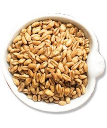 Royal Lee Organics Organic Spelt Berries 10 lbs - Premium Quality, 100% Whole Grain (Pack of 1) - Buy Online on SooperMarket.com