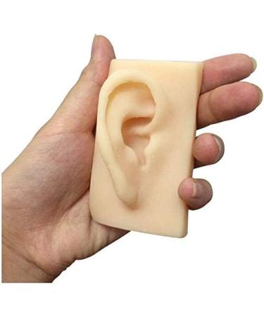 Silicone Ear Template - 1 Pair Silicone Ear Acupuncture Practical Model - Earmold Artificial Ear Simulation for Acupuncture Studs Earring Earlier - Buy Online on SooperMarket.com