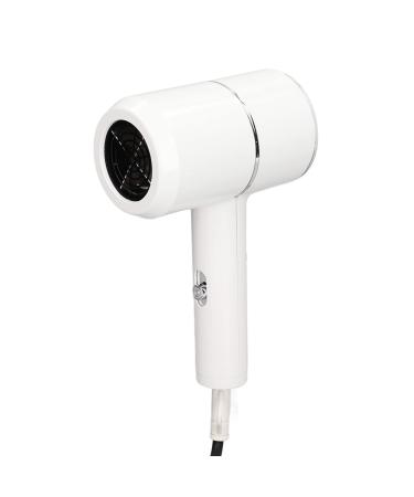 Portable Hair Dryer Constant Temperature US Plug 110V Small Portable Hair Blower for Home