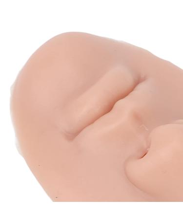 Silicone Nose Model - Soft & Realistic 3-Part Elastic Model for Salon - Medium Skin Color - Buy Online on SooperMarket.com