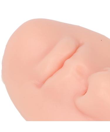Soft Silicone Nose Model Set for Adults - 3 Flexible Skin Tone Nose & Mouth Models for Salon Use - International Shipping Available - Buy Online on SooperMarket.com