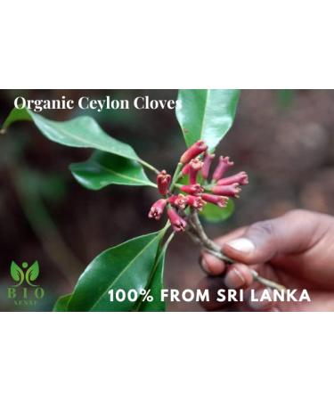 Organic Ceylon Cloves Whole 3.5 Oz Certified USDA Organic Premium Quality NON GMO 100% Sri Lankan Pure Ceylon Cloves Whole Perfect For Cooking  Smoothies & Beverages - Buy Online on SooperMarket.com
