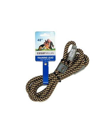 Cesar Millan Leash - Training line for dogs - 2in1 collar dog and leash - Slip lead - retriebeleine with integrated neck (small/medium - color: black/yellow) - length 120 cm diameter 1 cm regular black/yellow