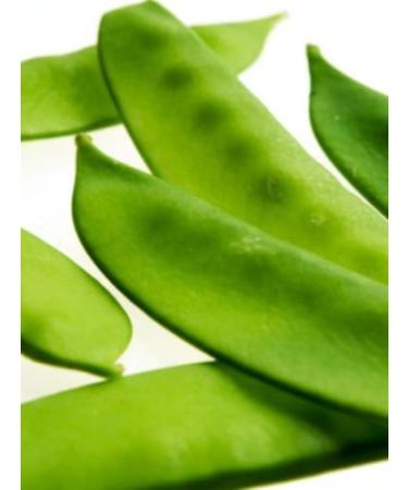25+ Organic Oregon Giant Neve Peas Aperto Semi impollinazione ENORME!