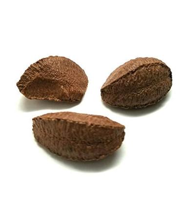 Buy Premium Raw Brazil Nuts In Shell - 10 lbs | Keto Vegan Non-GMO | High-Protein Snack | Convenient Packaging by Presto Sales - Buy Online on SooperMarket.com