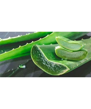 Organic Aloe Vera Powder - Premium Quality for Face, Hair, Smoothies & Baking - 100g - Buy Online on SooperMarket.com