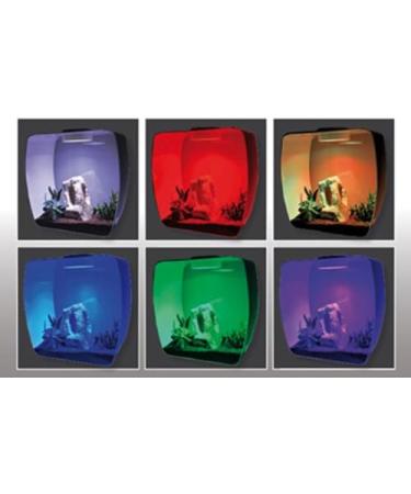 Buy Lucky Reptile LL-1 Life Light - Multicolor LED for Insect Terrariums Life Boxes & Life Pyramids | International Shipping - Buy Online on SooperMarket.com