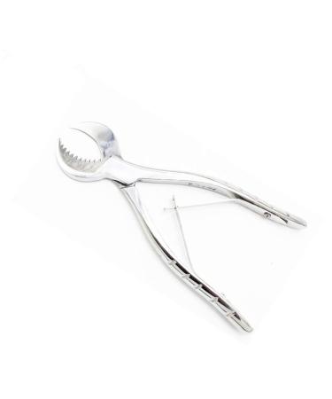 Dental Pliers Plaster Nippers Cutter Dentist Lab Equipment  Cow Horn Jaws  Serrated Blade  Spring Action by Hbmol (Large)