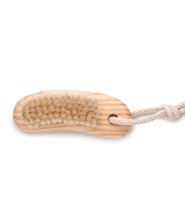 BAUDELAIRE  Cedar 4  Nail Brush   1 EA