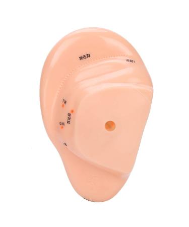Buy Ear Massage Acupuncture Model | Safe PVC Material for Home Medicine | International Shipping - Buy Online on SooperMarket.com