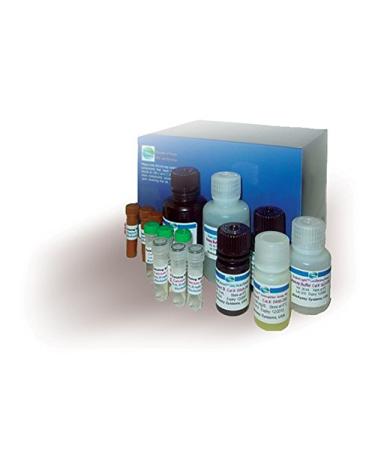 Creatine Assay Kit (ECRT-100)