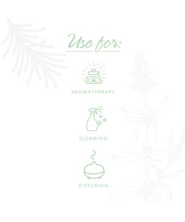 NOW Clear the Air Oil Blend 4oz - Purifying Aromatherapy Scent | Vegan, Child Resistant Cap - Buy Online on SooperMarket.com