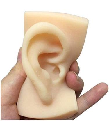 Silicone Ear Template - 1 Pair Silicone Ear Acupuncture Practical Model - Earmold Artificial Ear Simulation for Acupuncture Studs Earring Earlier - Buy Online on SooperMarket.com