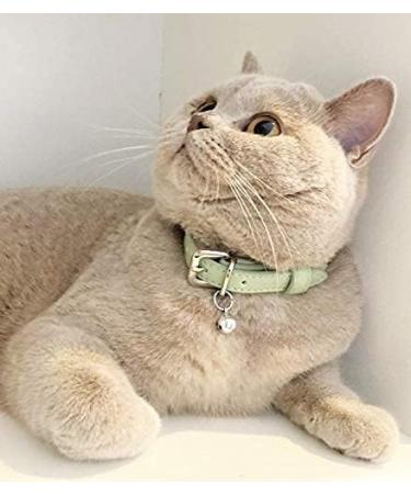 Animal Outfitters UK Purrfect Pastel Collection Cat Collar | Mint Silver Bell | Adjustable Breakaway Kitten Collar - Buy Online on SooperMarket.com