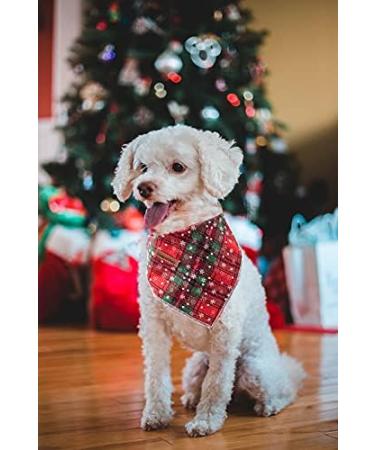 Lionheart Glory Dog Haller Washable Soft Cotton Christmas Neckerchief for Large Dogs | Adjustable Green & Red Kerchief | Perfect Holiday Accessory (1 Pack) - Buy Online on SooperMarket.com