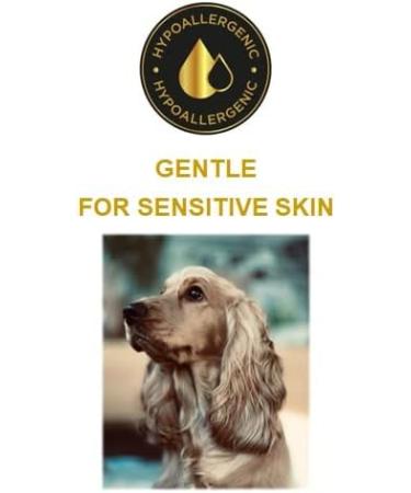 Best Hypoallergenic Shampoo for Dogs & Cats | Gentle Care Anti-Itch Shiny Coat for All Hair Types - Buy Online on SooperMarket.com