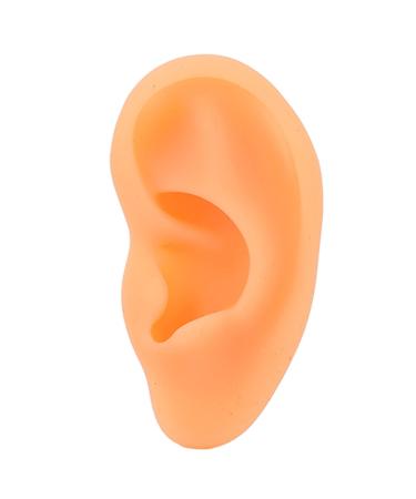 Ear Model Fake Ear Display Sample Ear Practice Models for Jewelry Display Rubber Ear for Piercing Practice Ear Models Ear molds Fake Ear Model(Right)