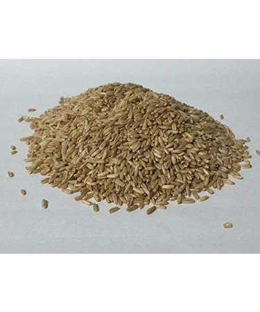 Buy Organic Nude Hell 1 kg - Premium Quality International Shipping Available - Buy Online on SooperMarket.com