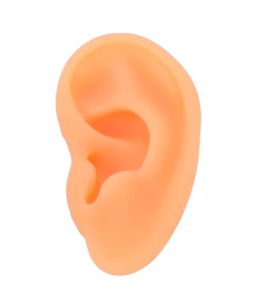 Rubber Fake Ear Model for Jewelry Display and Piercing Practice (Right Ear) - Buy Online on SooperMarket.com