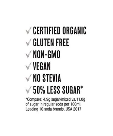 SodaStream Organic Ale Flavor Mix - Ginger 16.9 Fl Oz | Sparkling Drink Mix - Buy Online on SooperMarket.com