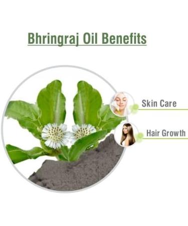 100% Pure Salvia Bhringraj Oil - Natural Cold Pressed for Aromatherapy Skin Care & Hair | Therapeutic Grade Eclipta Alba | 1 Fl Oz - Buy Online on SooperMarket.com
