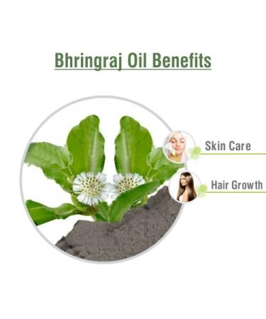 Pure Salvia Bhringraj Oil (Eclipta alba) - 100% Natural Cold Pressed Essential Oil for Aromatherapy Skin & Hair Care - Therapeutic Grade 3.38 fl oz - Buy Online on SooperMarket.com