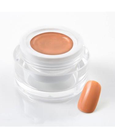 5 ml UV Colorgel/Farbgel/Purgel - in Pur Salmon Red