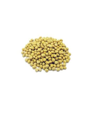 SOYA Beans 100g