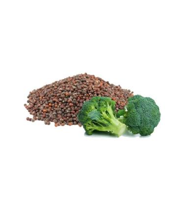 Broccoli Seed Oil - 100% Pure Organic 8 oz | Cold Pressed Carrier Oil for Skin Hair & Body | Nourishing & Hydrating | Fair Trade - Buy Online on SooperMarket.com