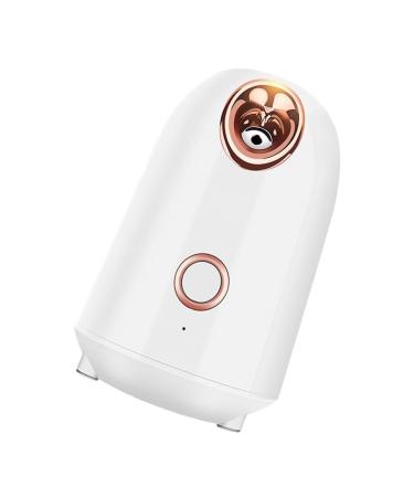 PLAFOPE Abs White Portable Facial Handy Mist Sprayer Mist Humidifier Home Sauna Spa
