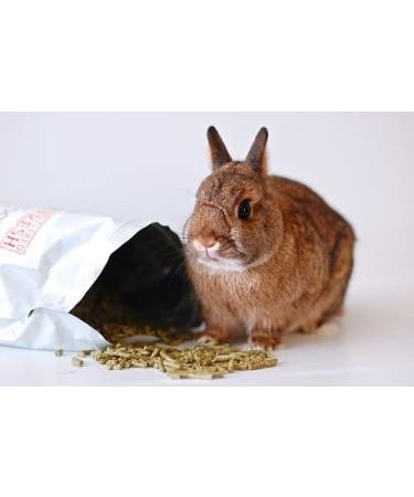 Small Pet Select Rabbit Food Pellets 10lb - Premium Nutrition for Rabbits - Buy Online on SooperMarket.com