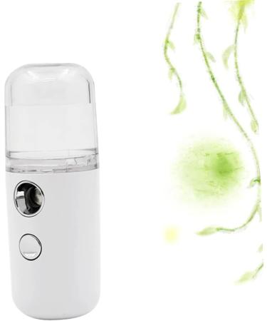 Baluue 1pc Air Humidifier Handheld Face Sprayer Mist Sprayer Mini Facial Sprayer Skin Care Tools White - Buy Online on SooperMarket.com