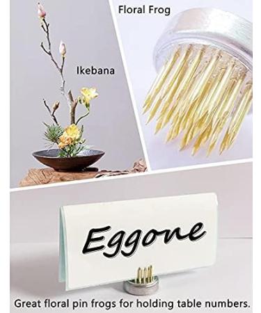 Eggone Flower Frog Mini Kenzan 23mm - 30 Pack - Buy Online on SooperMarket.com