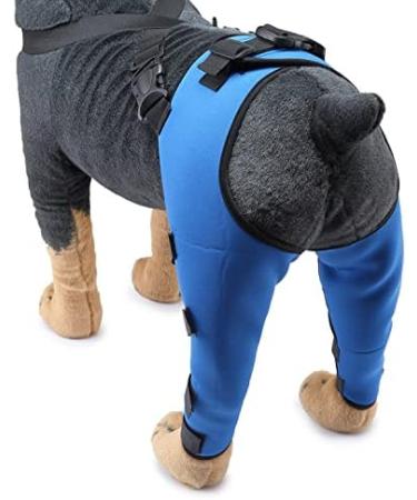 Pet Dog Knee Brace ACL Brace for Dogs Rear Leg Dog Braces for Back Leg for Support for Heals Prevents Injuries Sprains Blue Medium Medium Blue - Buy Online on SooperMarket.com