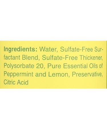 Rebel Green Peppermint Lemon Dish Soap - 16 oz | Eco-Friendly Cleaning - Buy Online on SooperMarket.com