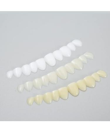 3-Part Temporary Dentures Set | Quick Fix for Missing Teeth | Ideal for Men & Women | Durable & Comfortable Replacement Solutions - Buy Online on SooperMarket.com