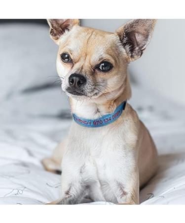 Buy Tagme Personalized Dog Collar for Small Dogs - Embroidered Reflective Nylon Sky Blue XS (1 Pack) - Custom Pet Name & Phone Number - Buy Online on SooperMarket.com